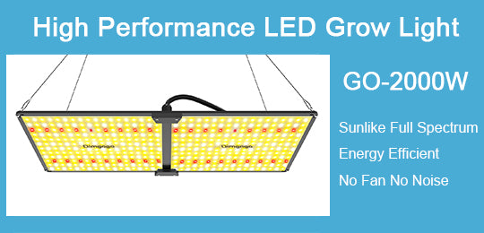 Marketing Small Second