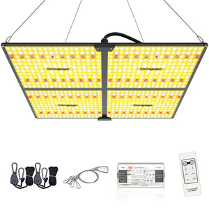 Dimgogo GO-4000 LED Grow Light Full Spectrum for a 5x5 ft Grow Tent